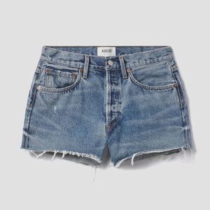 AGOLDE Parker Vintage Cutoff Denim Shorts